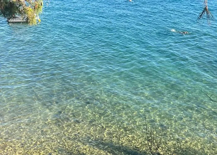 فيلة Zara365 زادار